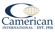 Camerican International, Inc.